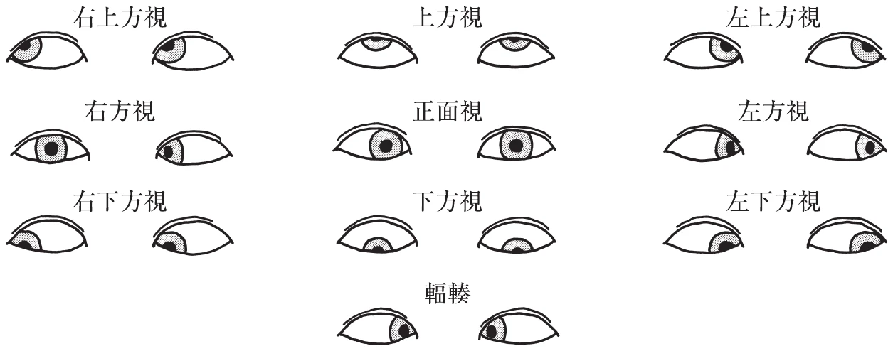 図