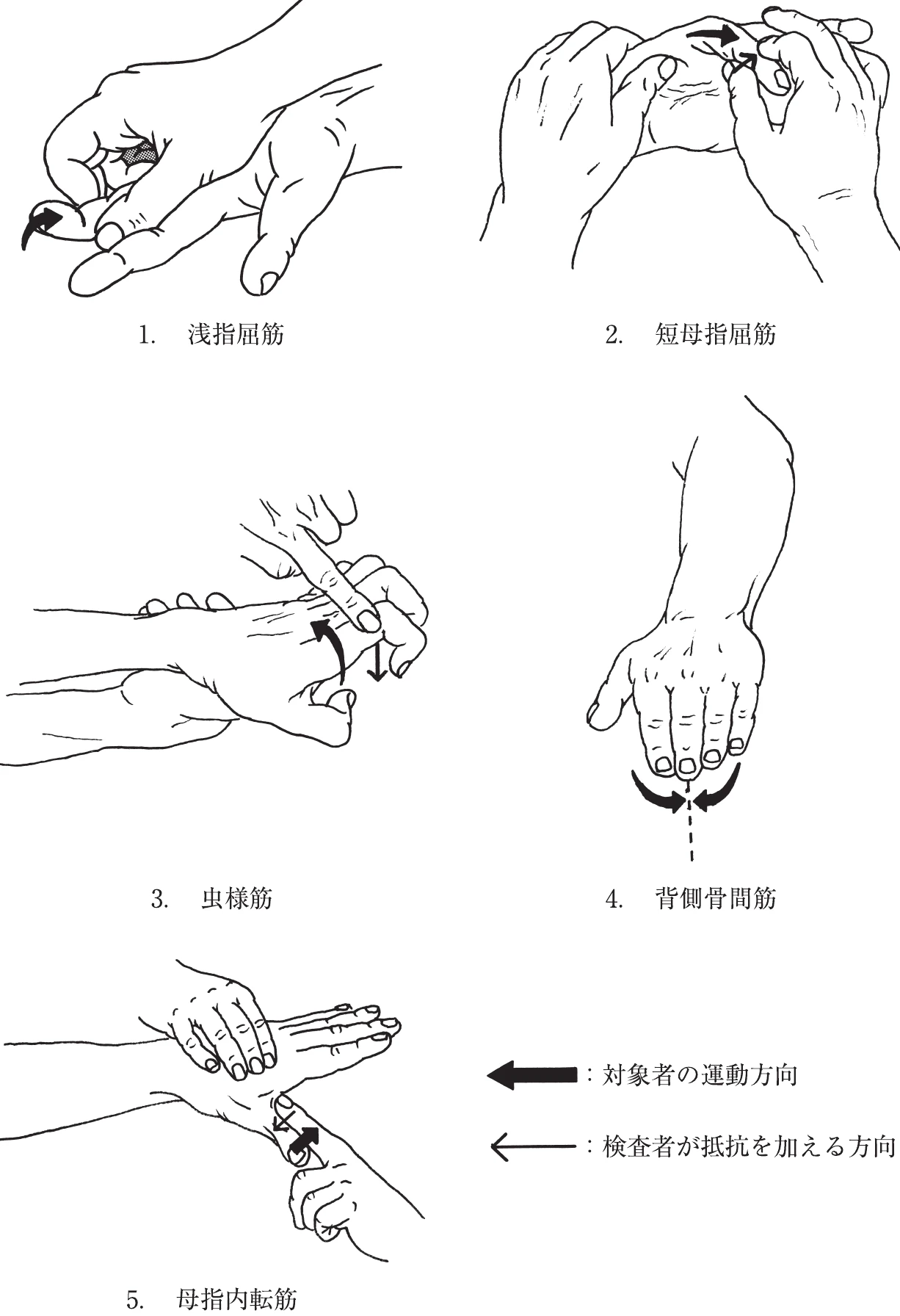 図