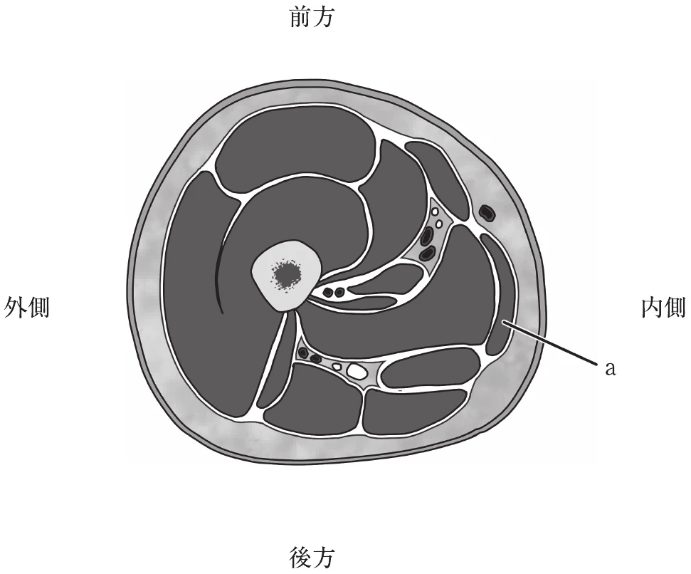 図