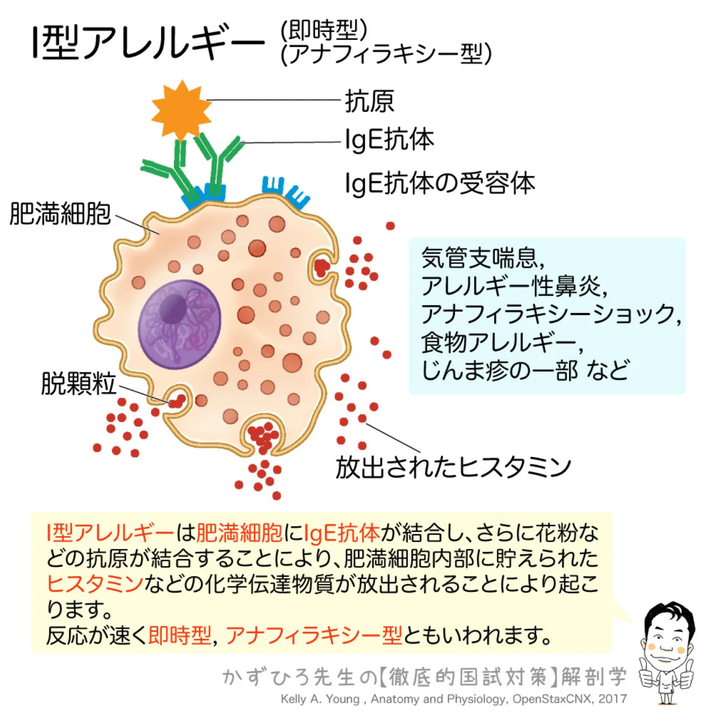 I型アレルギー