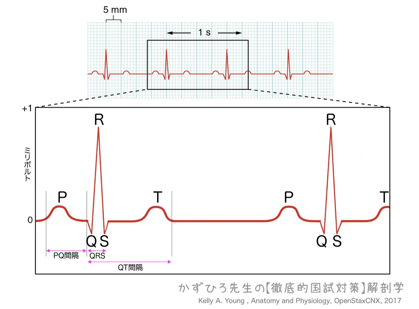 心電