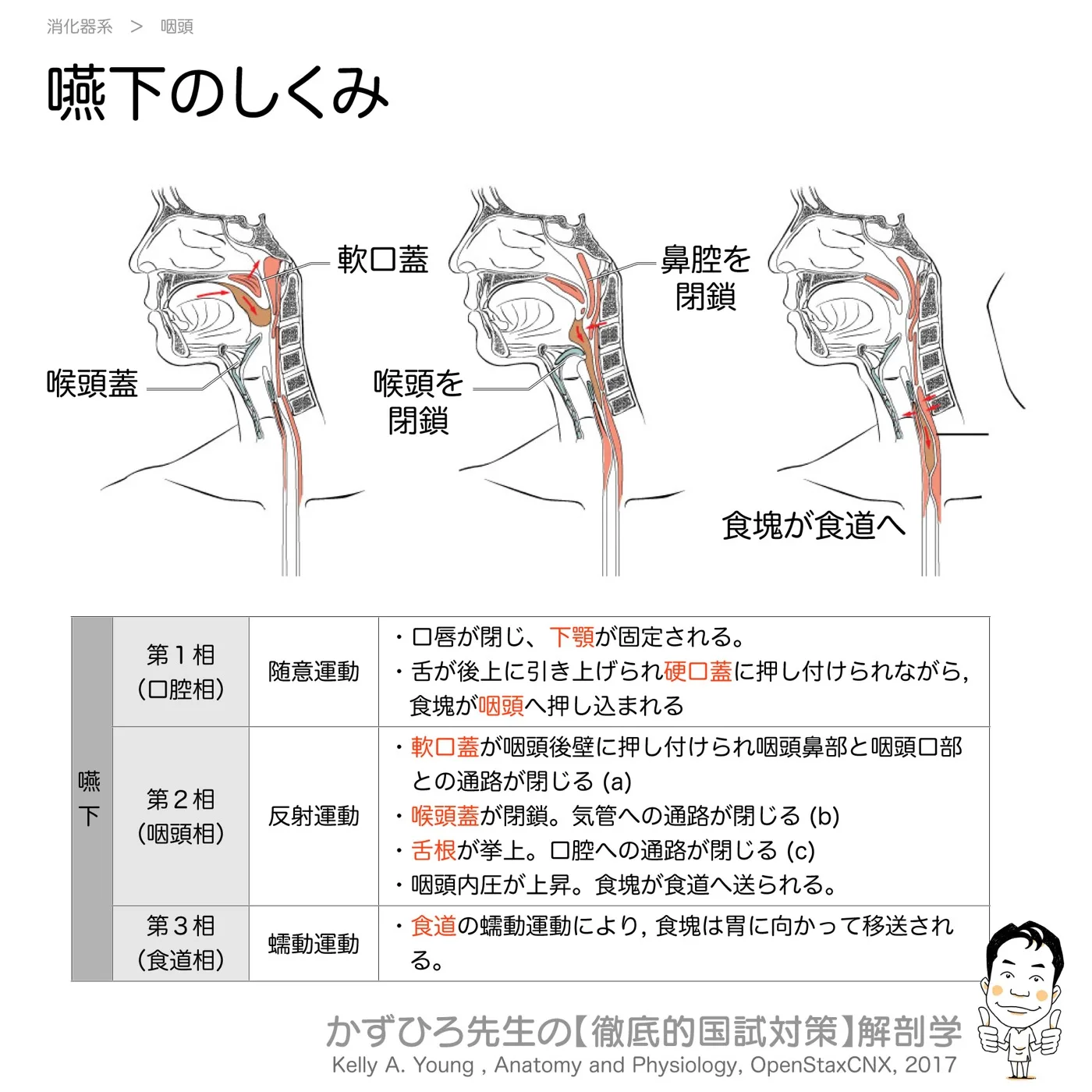 嚥下