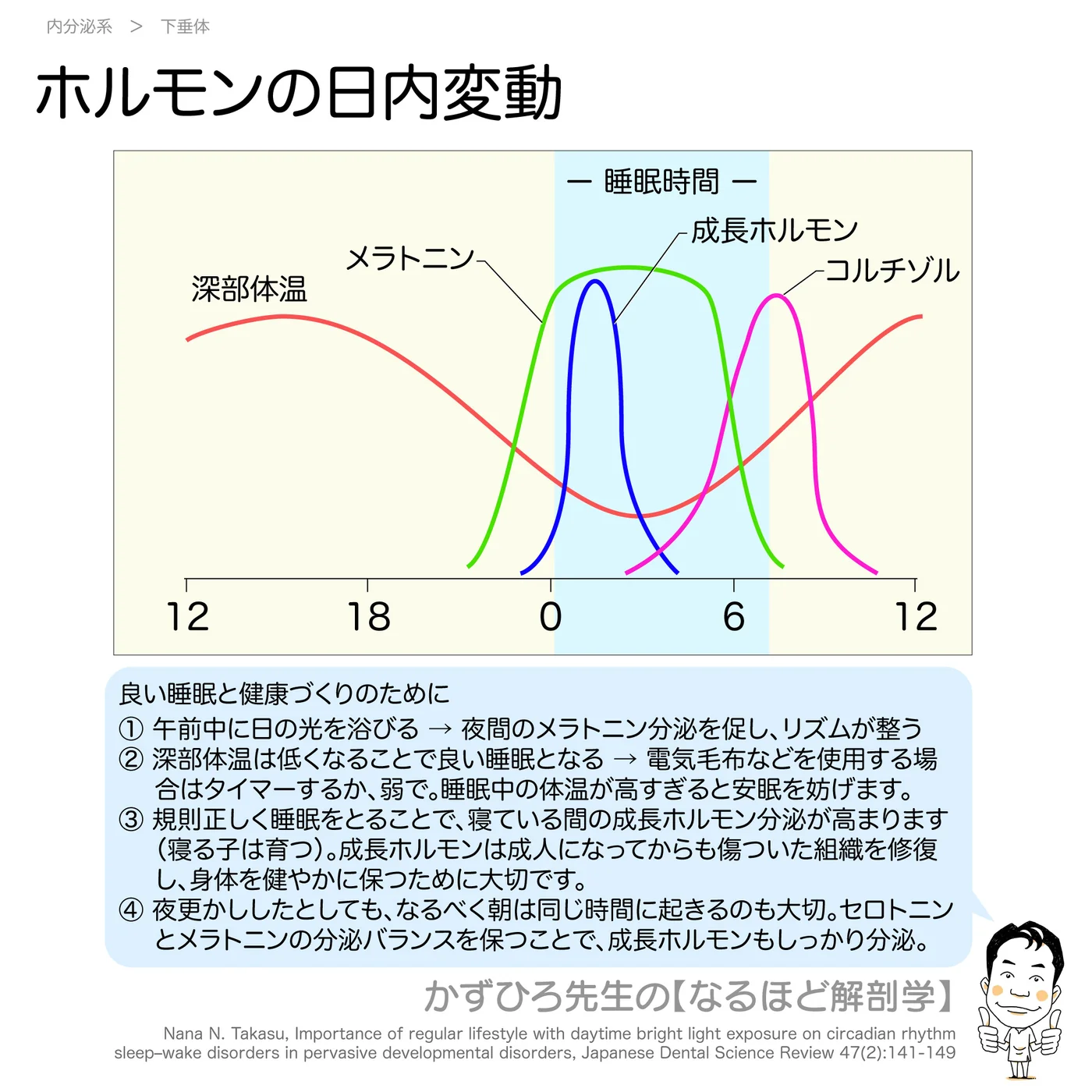 ホルモンの日内変動