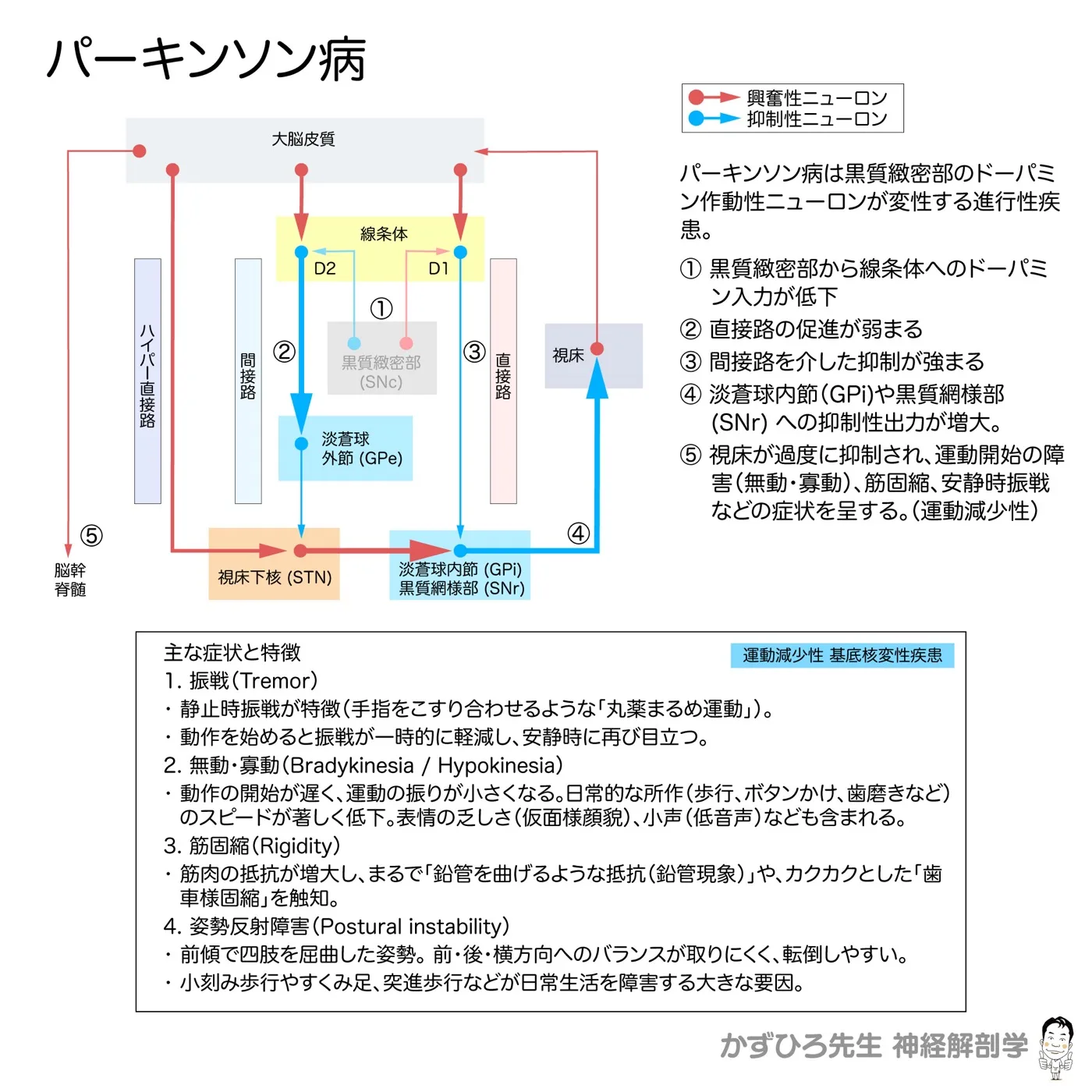 基底核変性疾患-パーキンソン病