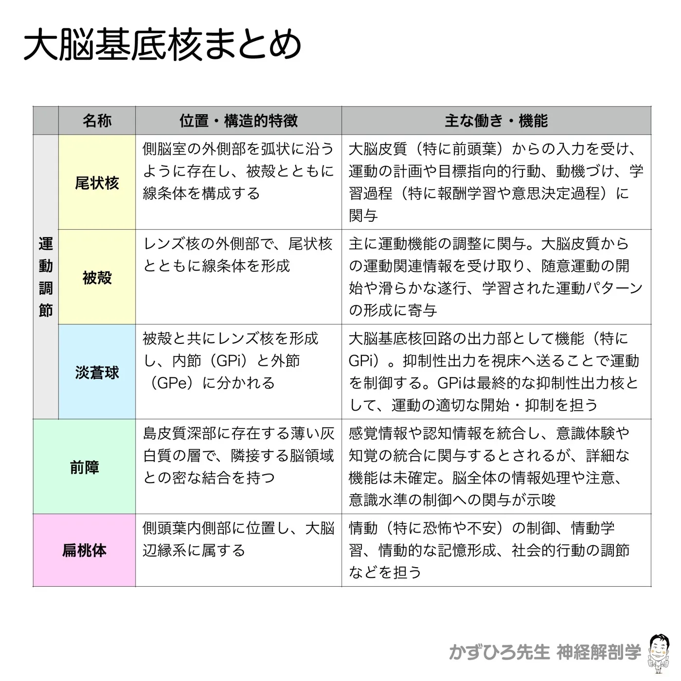 大脳基底核-まとめ