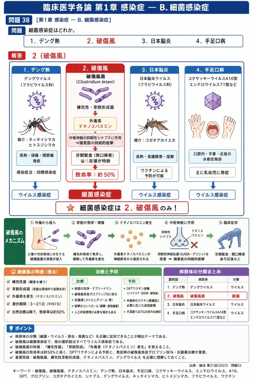 鍼灸 第31回(2023) 問題53｜細菌感染症はどれか。 解説図