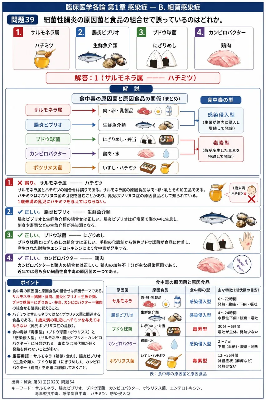 鍼灸 第31回(2023) 問題54｜細菌性腸炎の原因菌と食品の組合せで誤っているのはどれか。 解説図