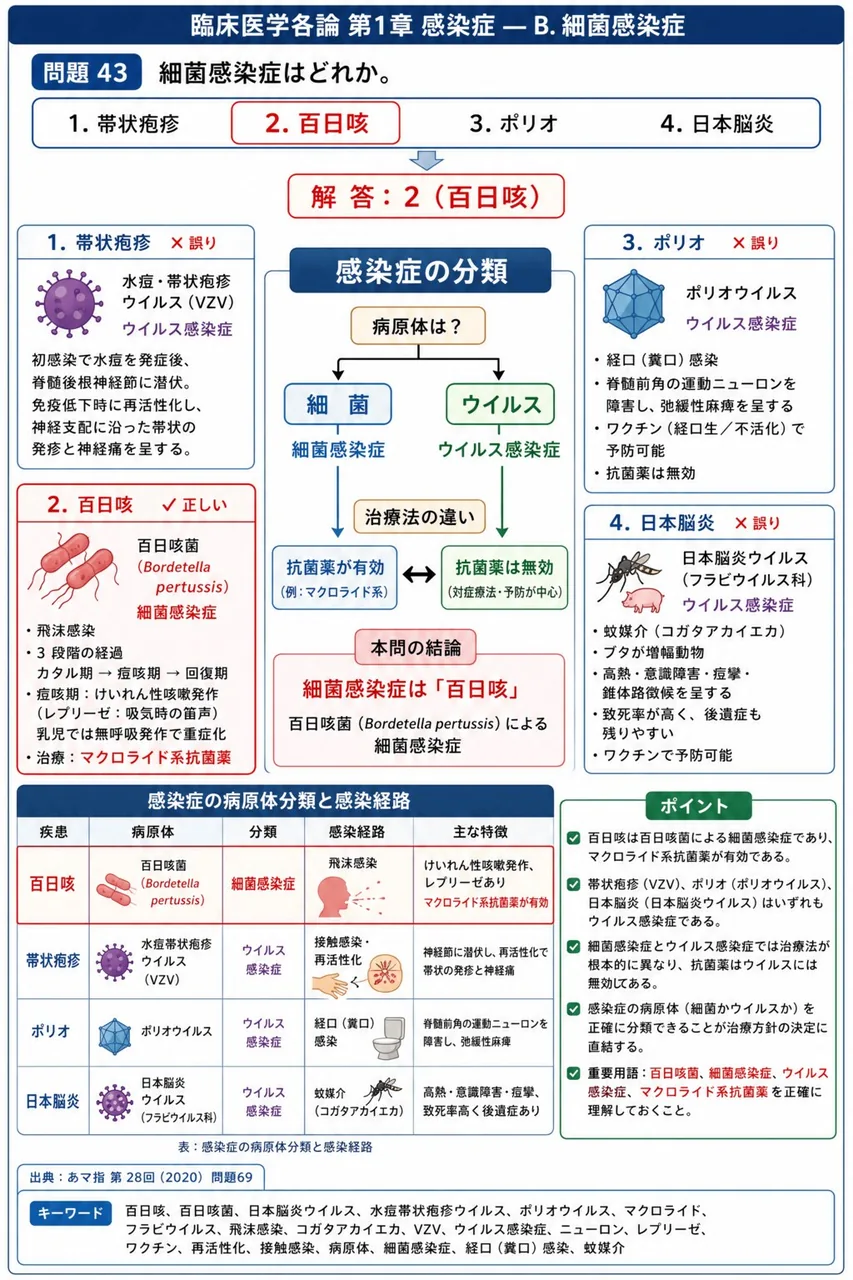 あマ指 第28回(2020) 問題69｜細菌感染症はどれか。 解説図