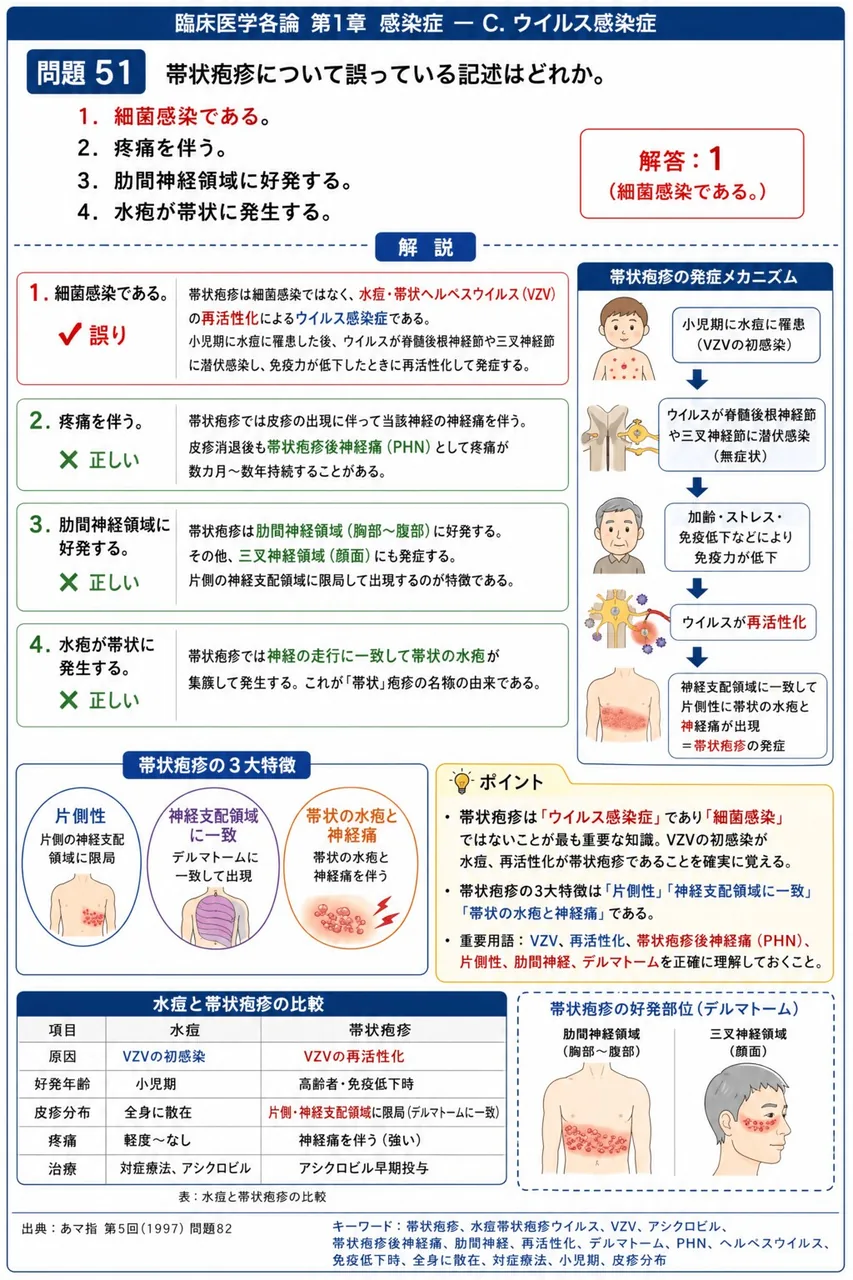 あマ指 第5回(1997) 問題82｜帯状疱疹について誤っている記述はどれか。 解説図