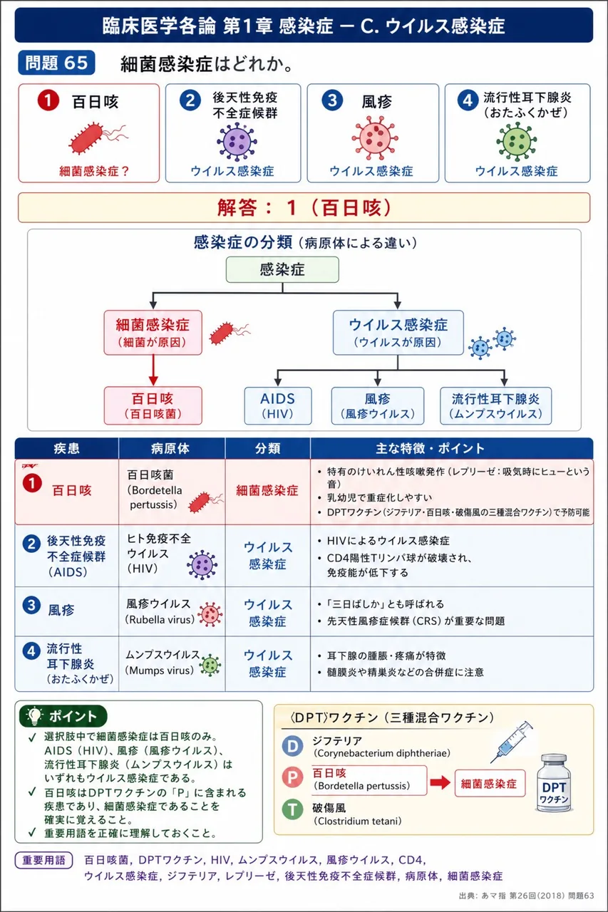 あマ指 第26回(2018) 問題63｜細菌感染症はどれか。 解説図