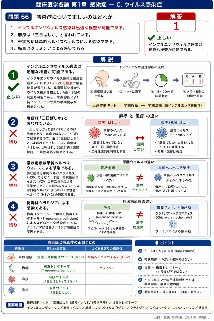 鍼灸 第26回(2018) 問題65｜感染症について正しいのはどれか。 解説図