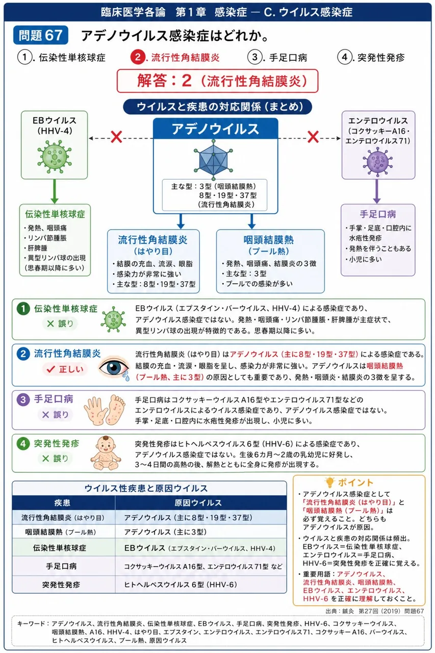 鍼灸 第27回(2019) 問題67｜アデノウイルス感染症はどれか。 解説図