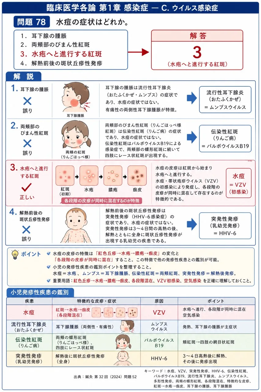 鍼灸 第32回(2024) 問題52｜水痘の症状はどれか。 解説図