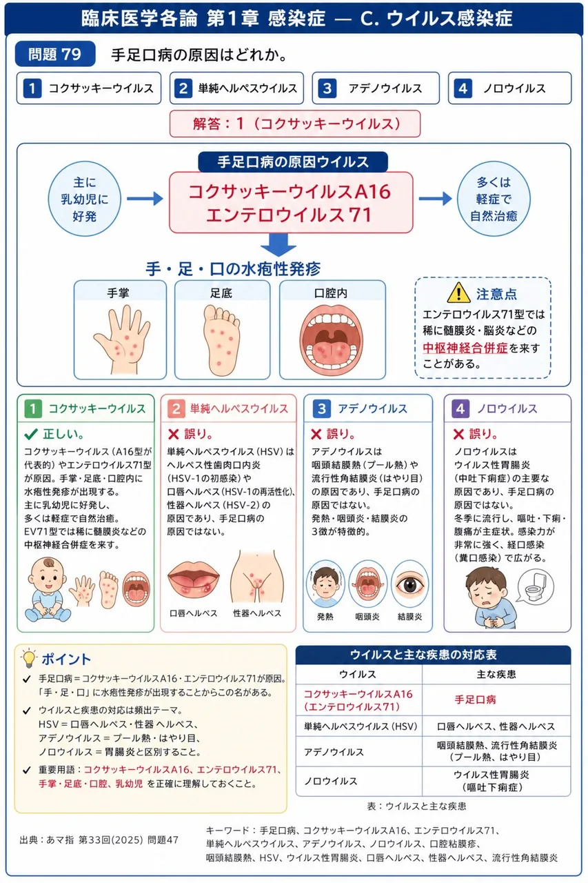 あマ指 第33回(2025) 問題47｜手足口病の原因はどれか。 解説図