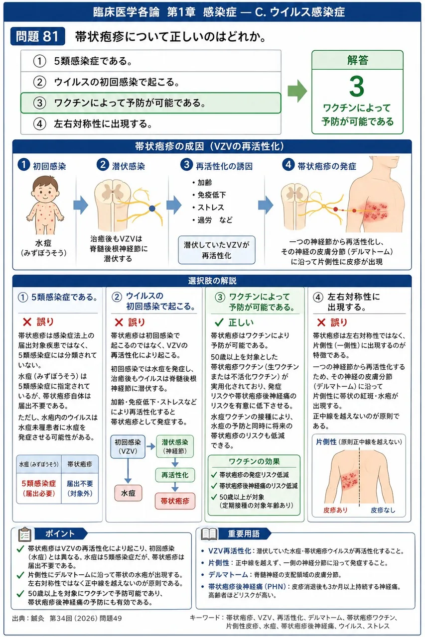鍼灸 第34回(2026) 問題49｜帯状疱疹について正しいのはどれか。 解説図