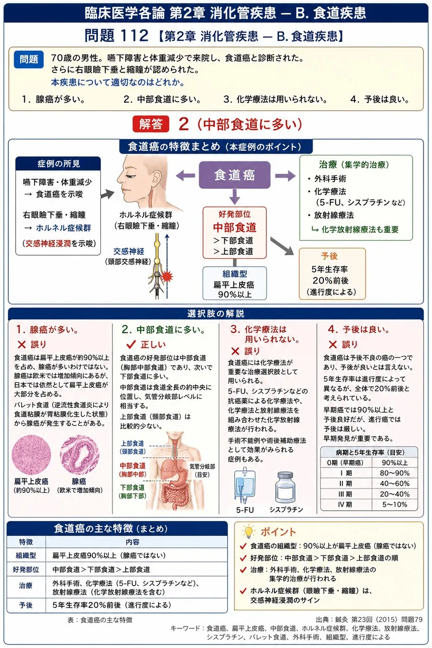 鍼灸 第23回(2015) 問題79｜「70歳の男性。嚥下障害と体重減少で来院し、食道癌と診断された。さらに右眼瞼下垂と縮瞳が認められた。」本疾患について適切なのはどれか。 解説図