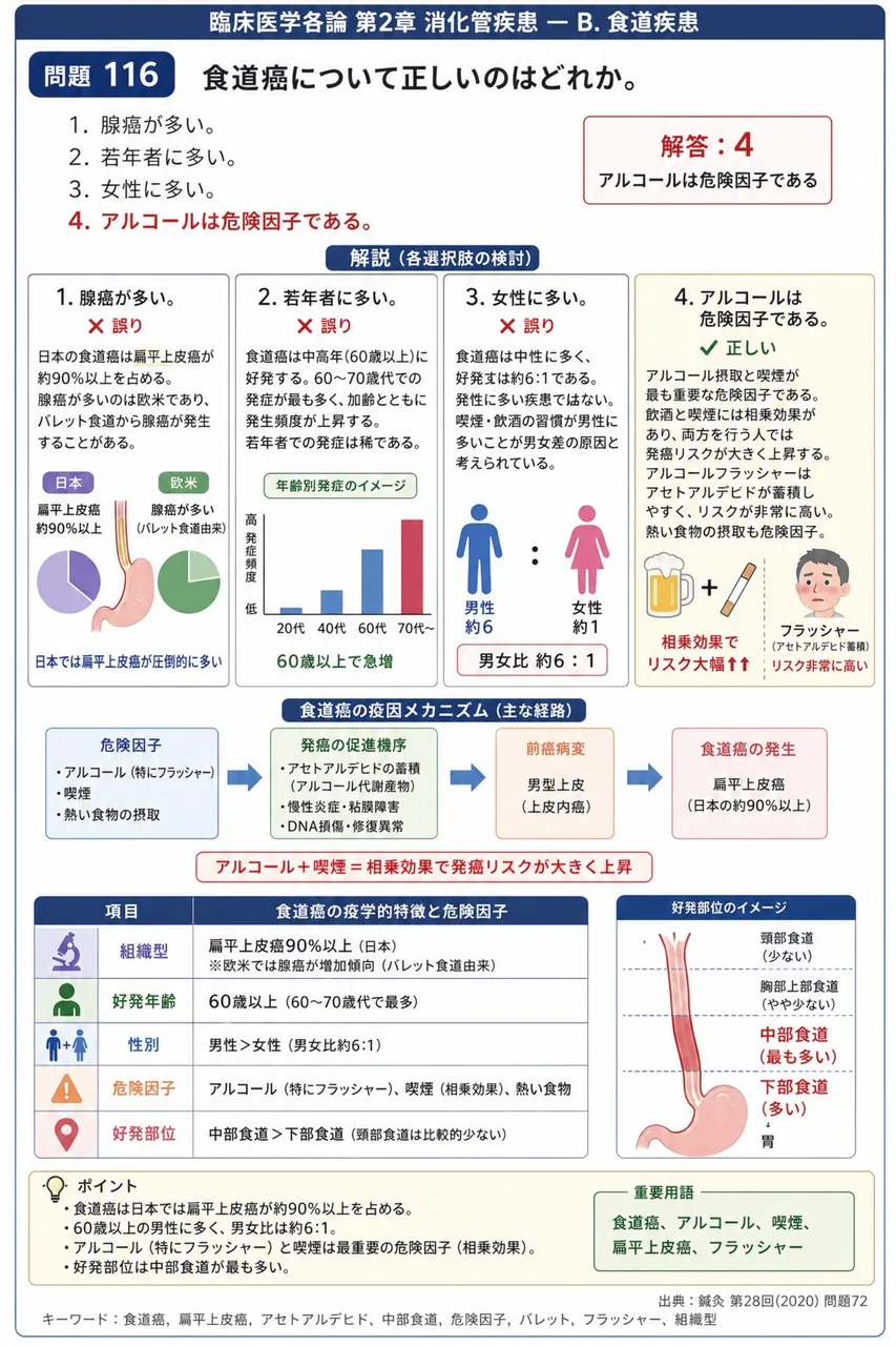 鍼灸 第28回(2020) 問題72｜食道癌について正しいのはどれか。 解説図