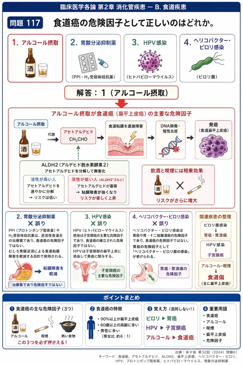 あマ指 第32回(2024) 問題61｜食道癌の危険因子として正しいのはどれか。 解説図