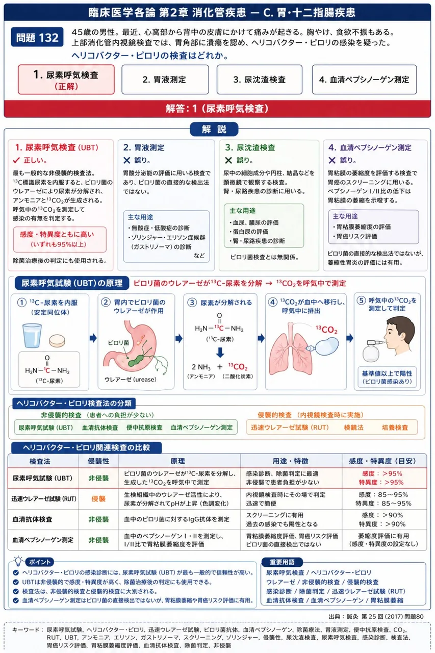 鍼灸 第25回(2017) 問題80｜「45歳の男性。最近、心窩部から背中の皮膚にかけて痛みが起きる。胸やけ、食欲不振もある。上部消化管内視鏡検査では、胃角部に潰瘍を認め、ヘリコバクター・ピロリの感染を疑った。」ヘリコバクター・ピロリの検査はどれか。 解説図