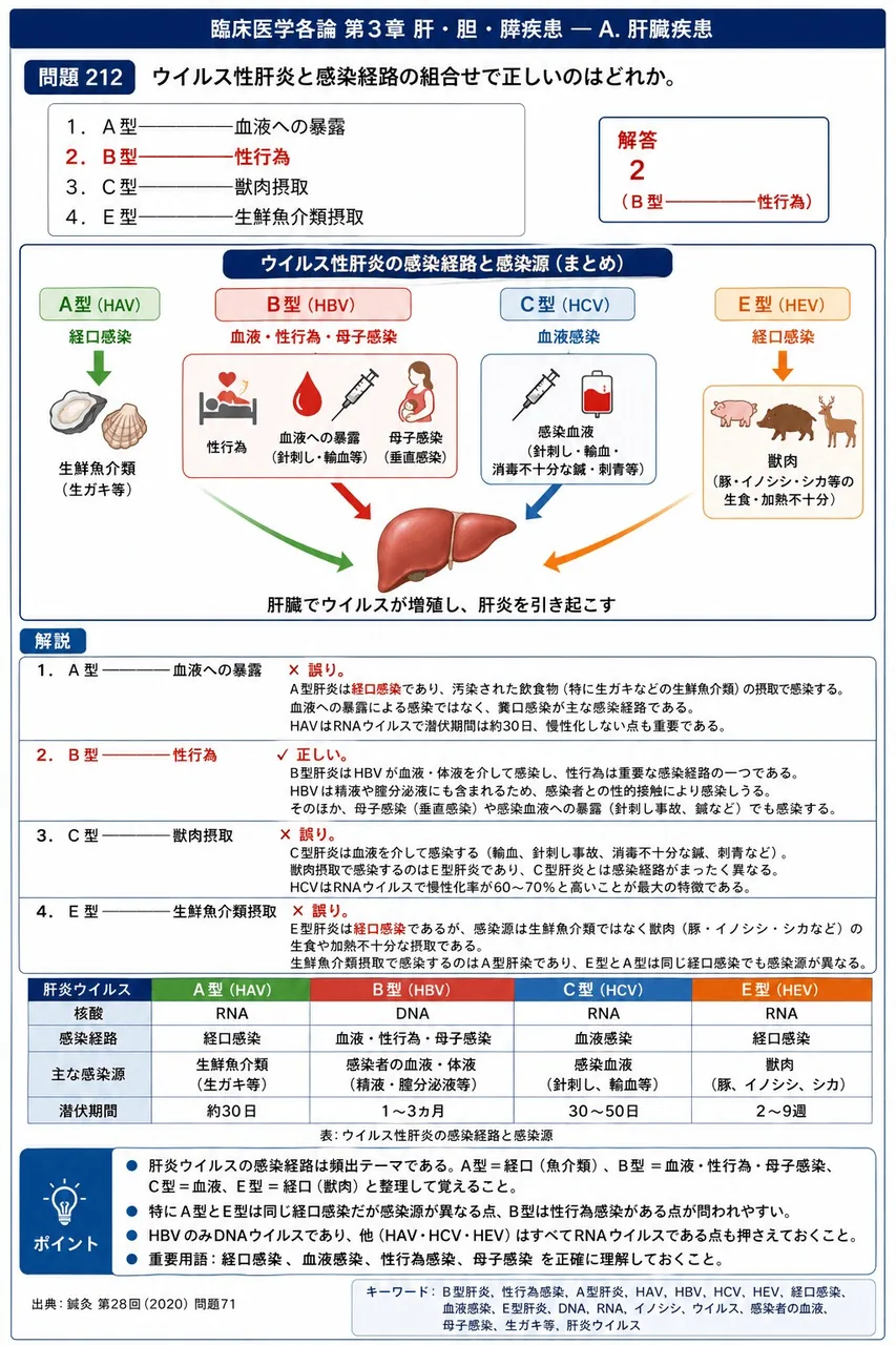 鍼灸 第28回(2020) 問題71｜ウイルス性肝炎と感染経路の組合せで正しいのはどれか。 解説図