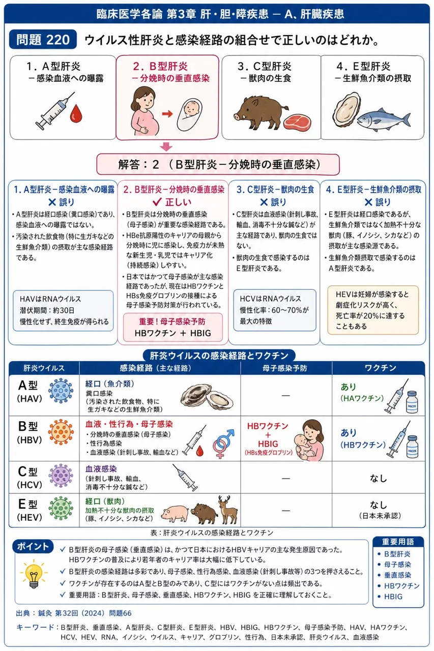 鍼灸 第32回(2024) 問題66｜ウイルス性肝炎と感染経路の組合せで正しいのはどれか。 解説図