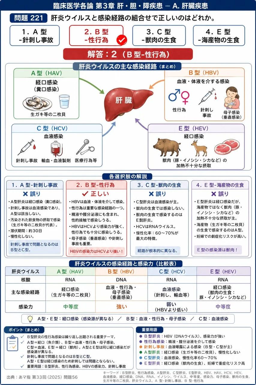 あマ指 第33回(2025) 問題56｜肝炎ウイルスと感染経路の組合せで正しいのはどれか。 解説図