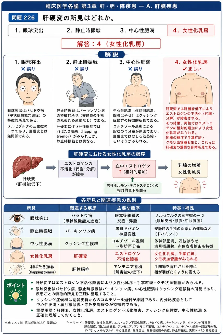 あマ指 第30回(2022) 問題62｜肝硬変の所見はどれか。 解説図