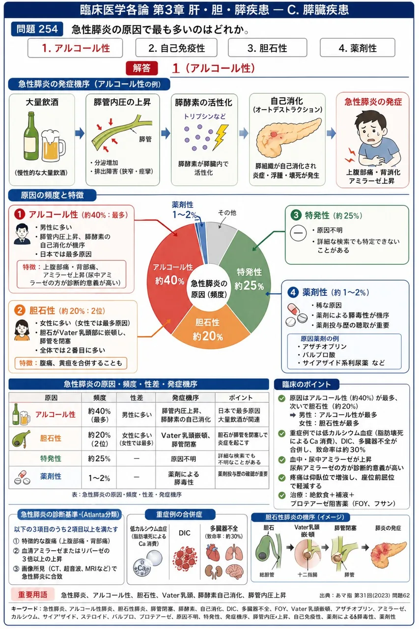 あマ指 第31回(2023) 問題62｜急性膵炎の原因で最も多いのはどれか。 解説図