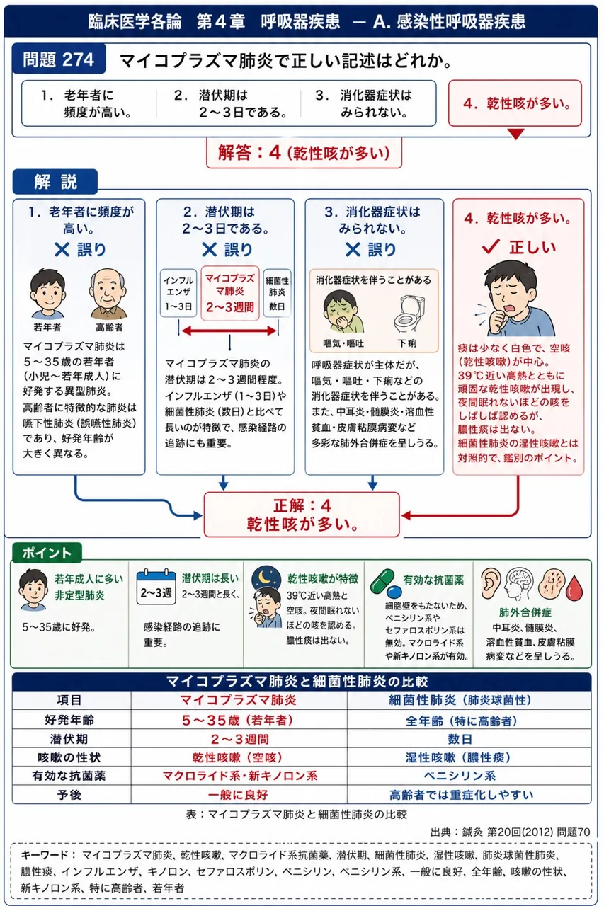 鍼灸 第20回(2012) 問題70｜マイコプラズマ肺炎で正しい記述はどれか。 解説図