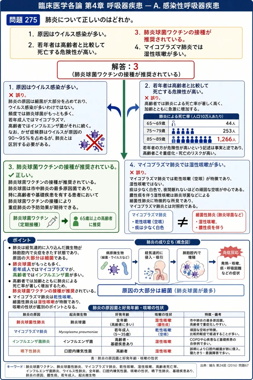鍼灸 第24回(2016) 問題67｜肺炎について正しいのはどれか。 解説図