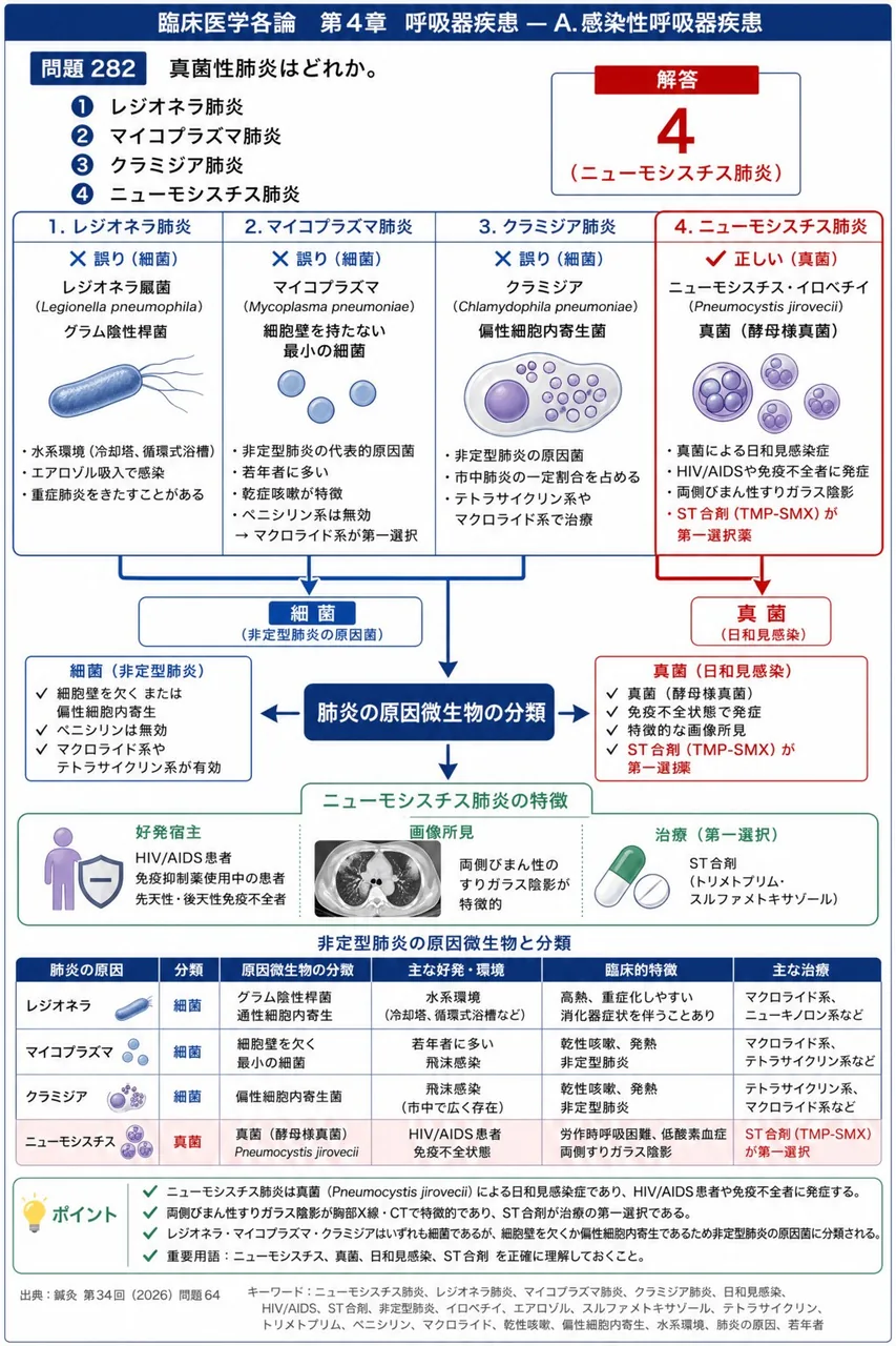 鍼灸 第34回(2026) 問題64|真菌性肺炎はどれか。 解説図