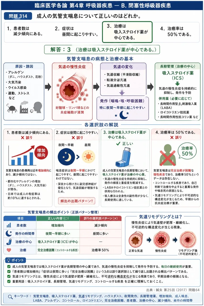 鍼灸 第25回(2017) 問題64｜成人の気管支喘息について正しいのはどれか。 解説図