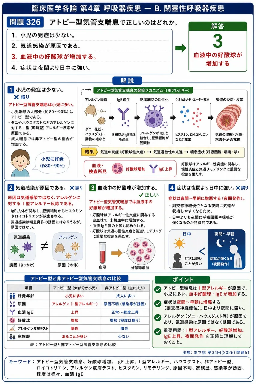 あマ指 第34回(2026) 問題51｜アトピー型気管支喘息で正しいのはどれか。 解説図