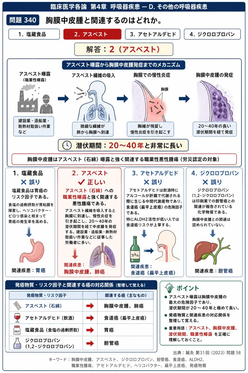 鍼灸 第31回(2023) 問題58｜胸膜中皮腫と関連するのはどれか。 解説図