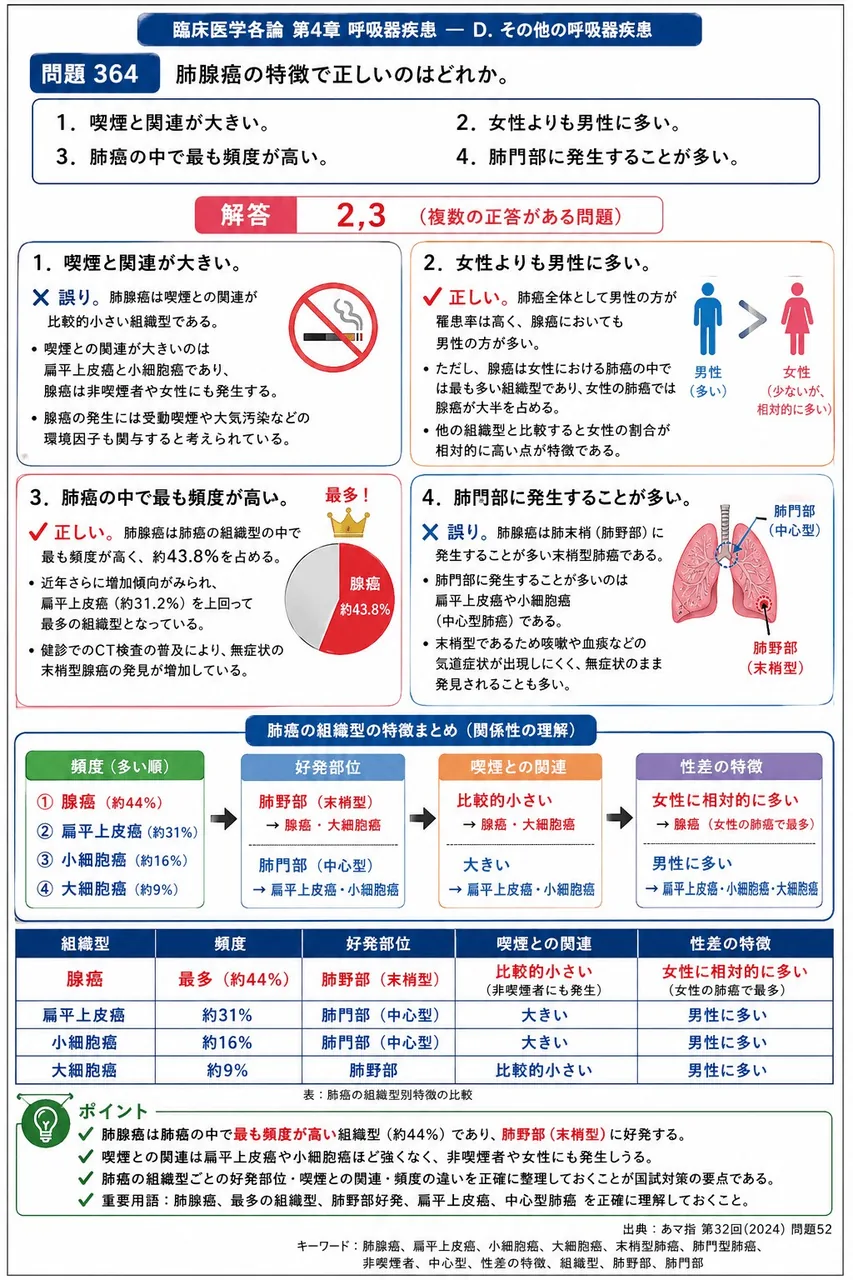 あマ指 第32回(2024) 問題52｜肺腺癌の特徴で正しいのはどれか。 解説図