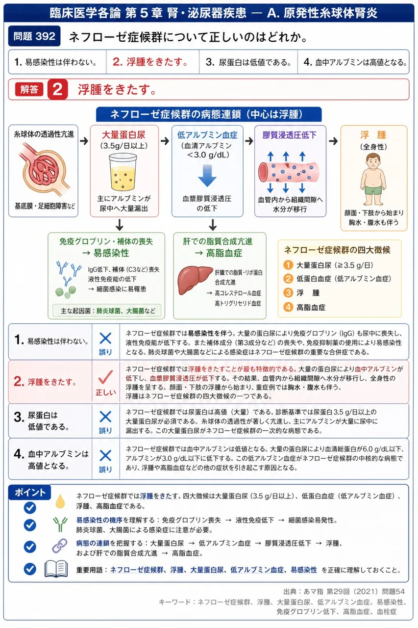 あマ指 第29回(2021) 問題54｜ネフローゼ症候群について正しいのはどれか。 解説図