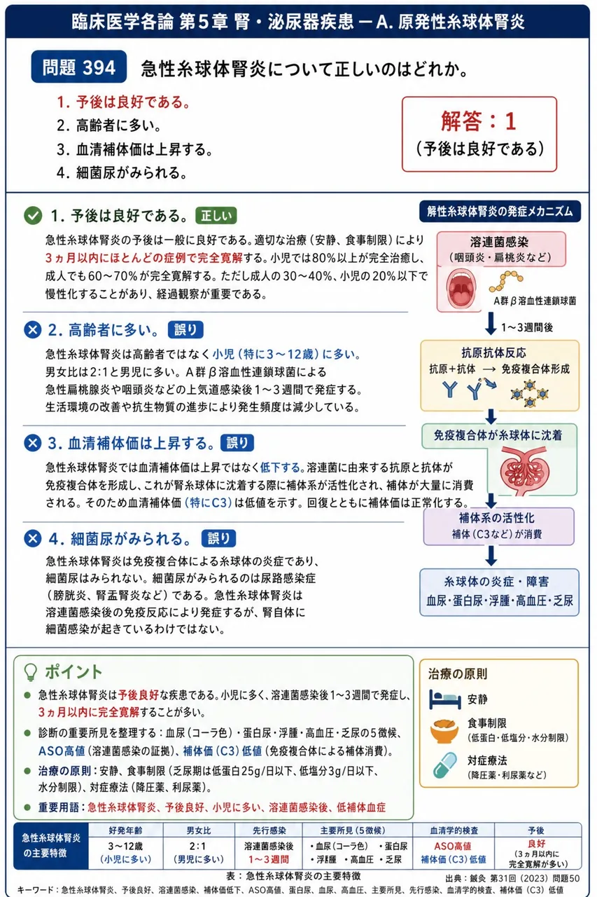 鍼灸 第31回(2023) 問題50｜急性糸球体腎炎について正しいのはどれか。 解説図