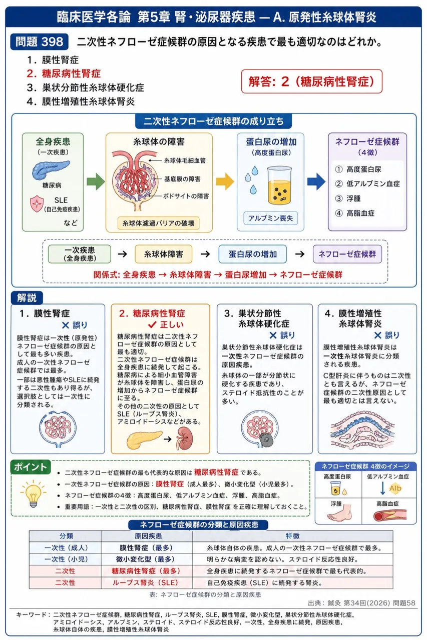 鍼灸 第34回(2026) 問題58｜二次性ネフローゼ症候群の原因となる疾患で最も適切なのはどれか。 解説図