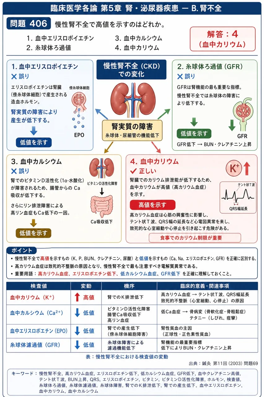 鍼灸 第11回(2003) 問題69｜慢性腎不全で高値を示すのはどれか。 解説図
