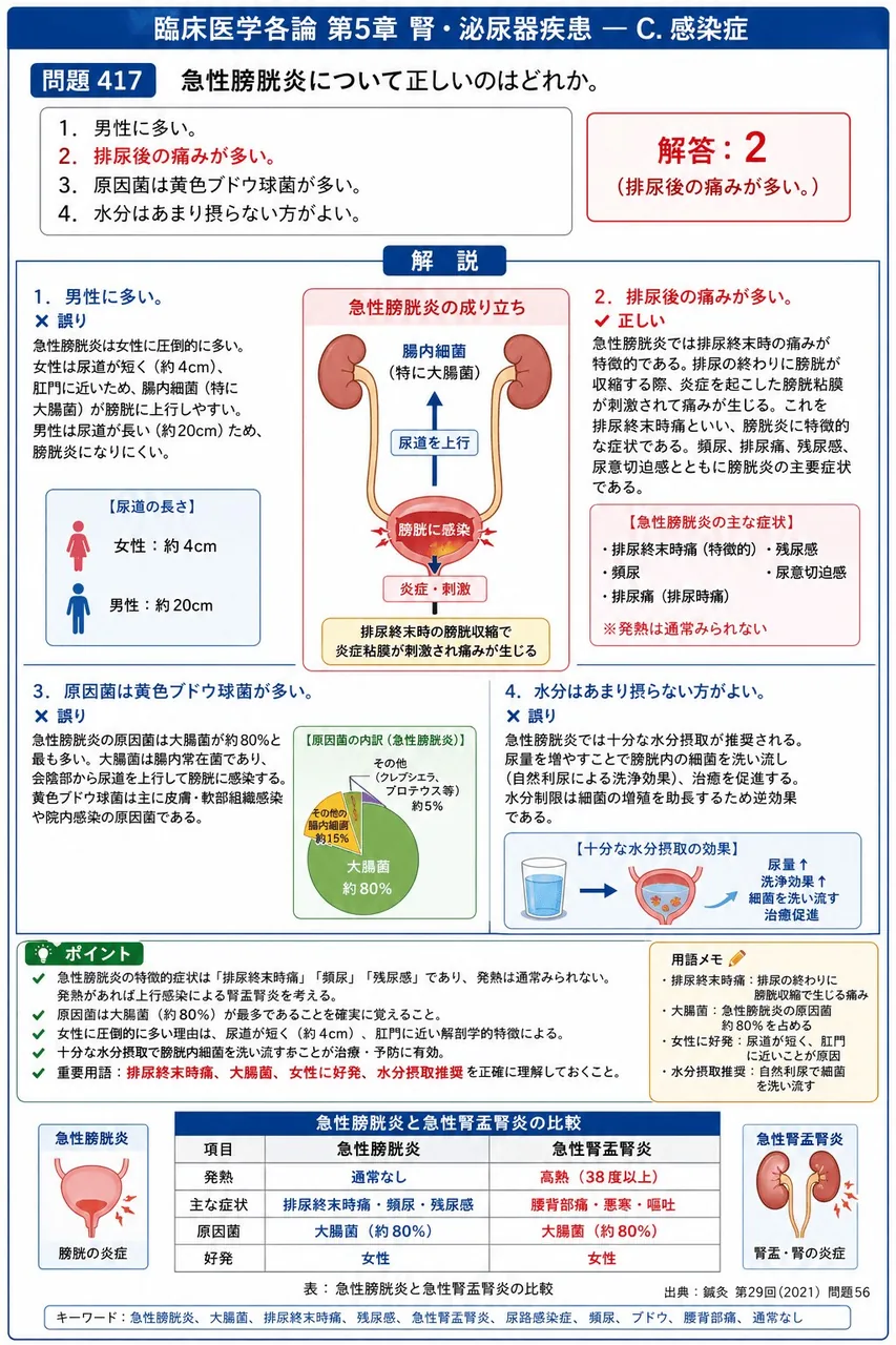 鍼灸 第29回(2021) 問題56｜急性膀胱炎について正しいのはどれか。 解説図