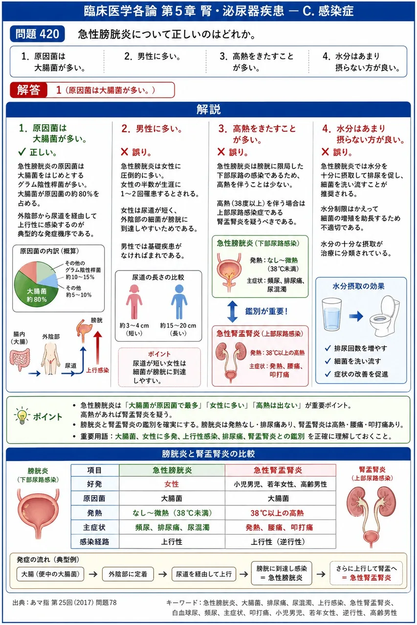 あマ指 第25回(2017) 問題78｜急性膀胱炎について正しいのはどれか。 解説図