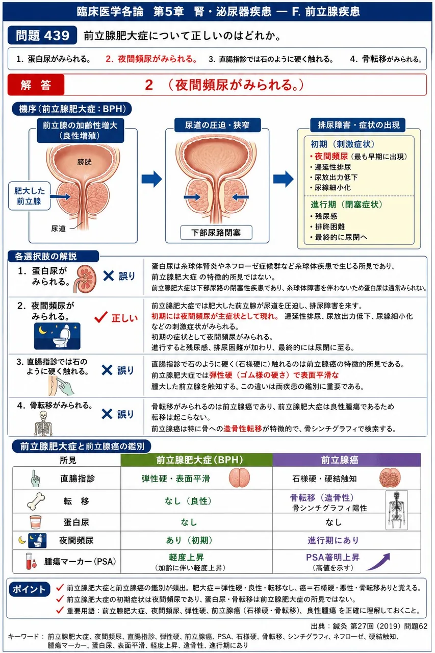 鍼灸 第27回(2019) 問題62｜前立腺肥大症について正しいのはどれか。 解説図