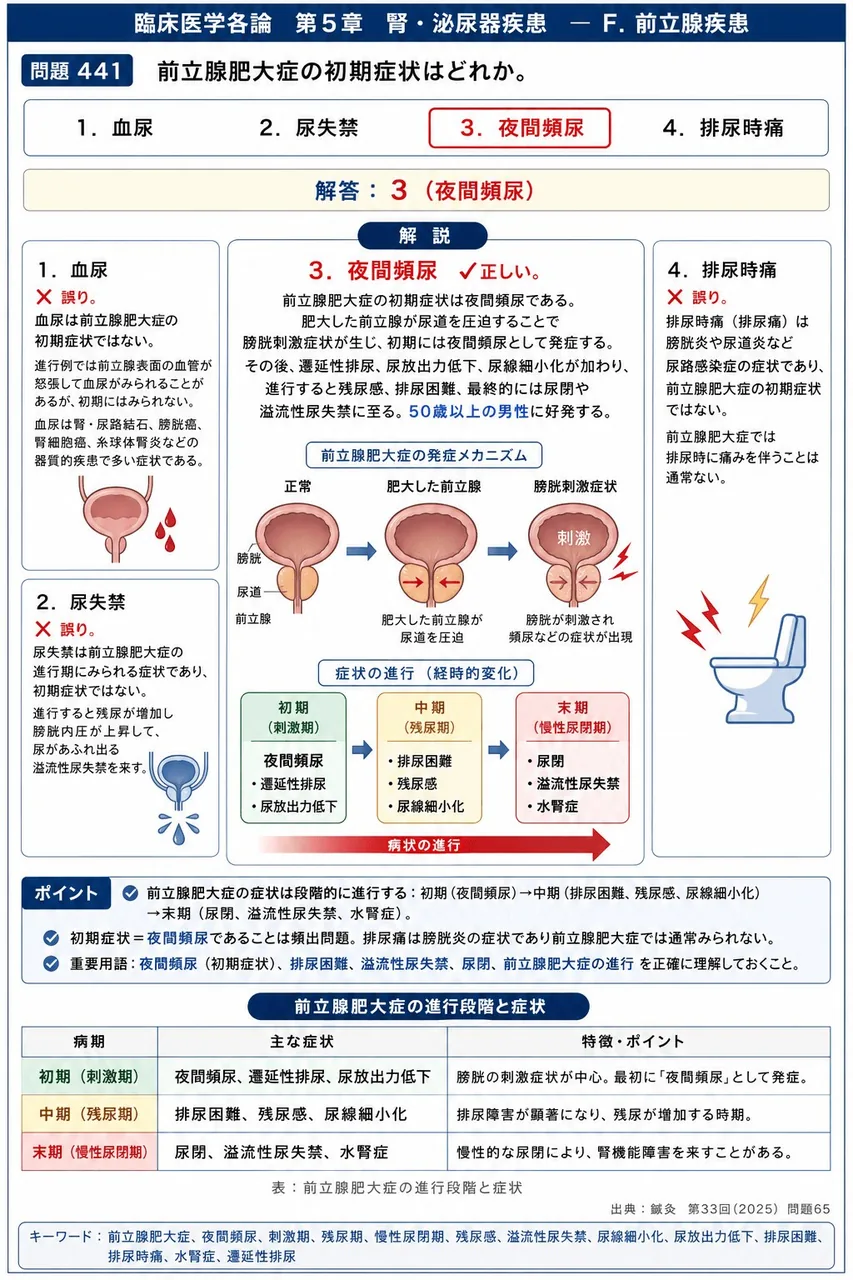 鍼灸 第33回(2025) 問題65｜前立腺肥大症の初期症状はどれか。 解説図