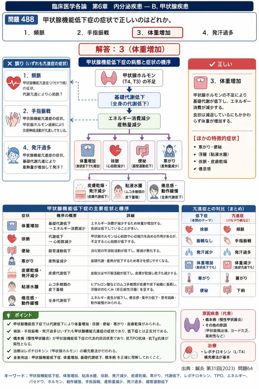 鍼灸 第31回(2023) 問題64｜甲状腺機能低下症の症状で正しいのはどれか。 解説図
