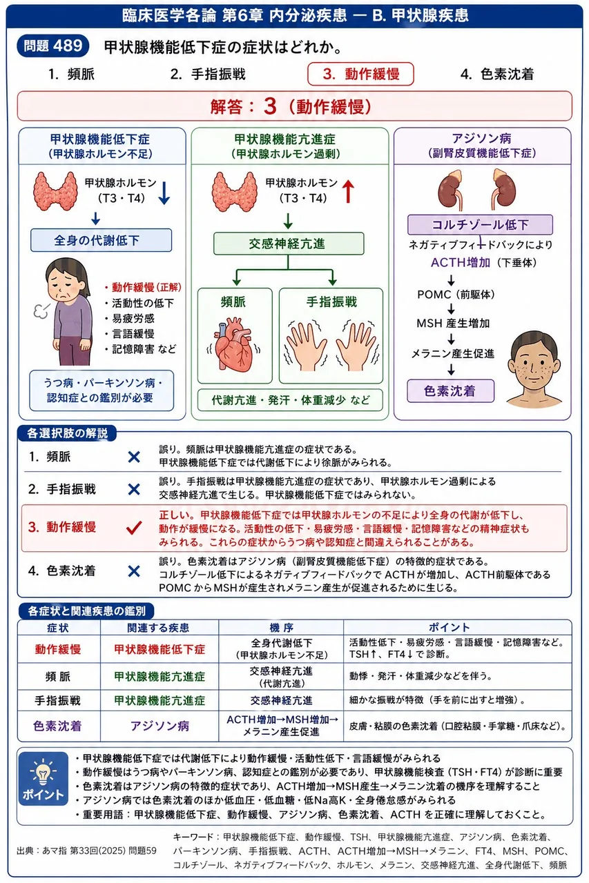 あマ指 第33回(2025) 問題59｜甲状腺機能低下症の症状はどれか。 解説図