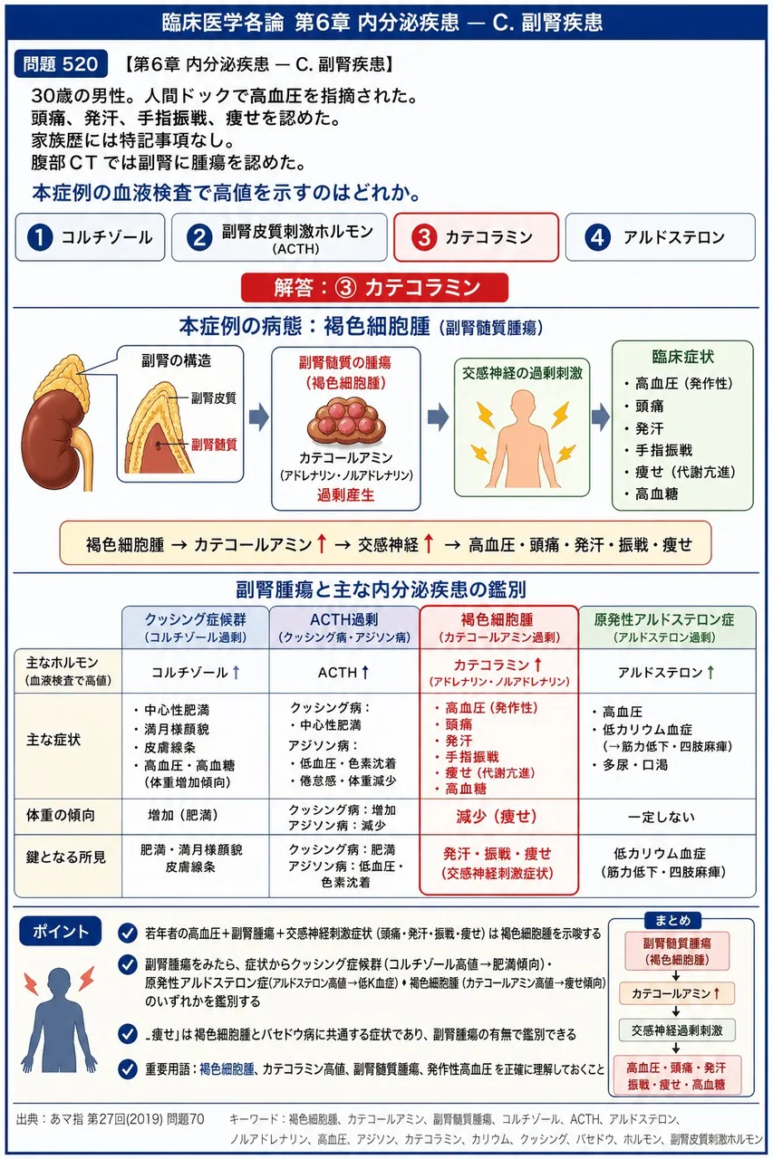 あマ指 第27回(2019) 問題70｜「30 歳の男性。人間ドックで高血圧を指摘された。頭痛、発汗、手指振戦、痩せを認めた。家族歴には特記事項なし。腹部CT では副腎に腫瘍を認めた。」本症例の血液検査で高値を示すのはどれか。 解説図