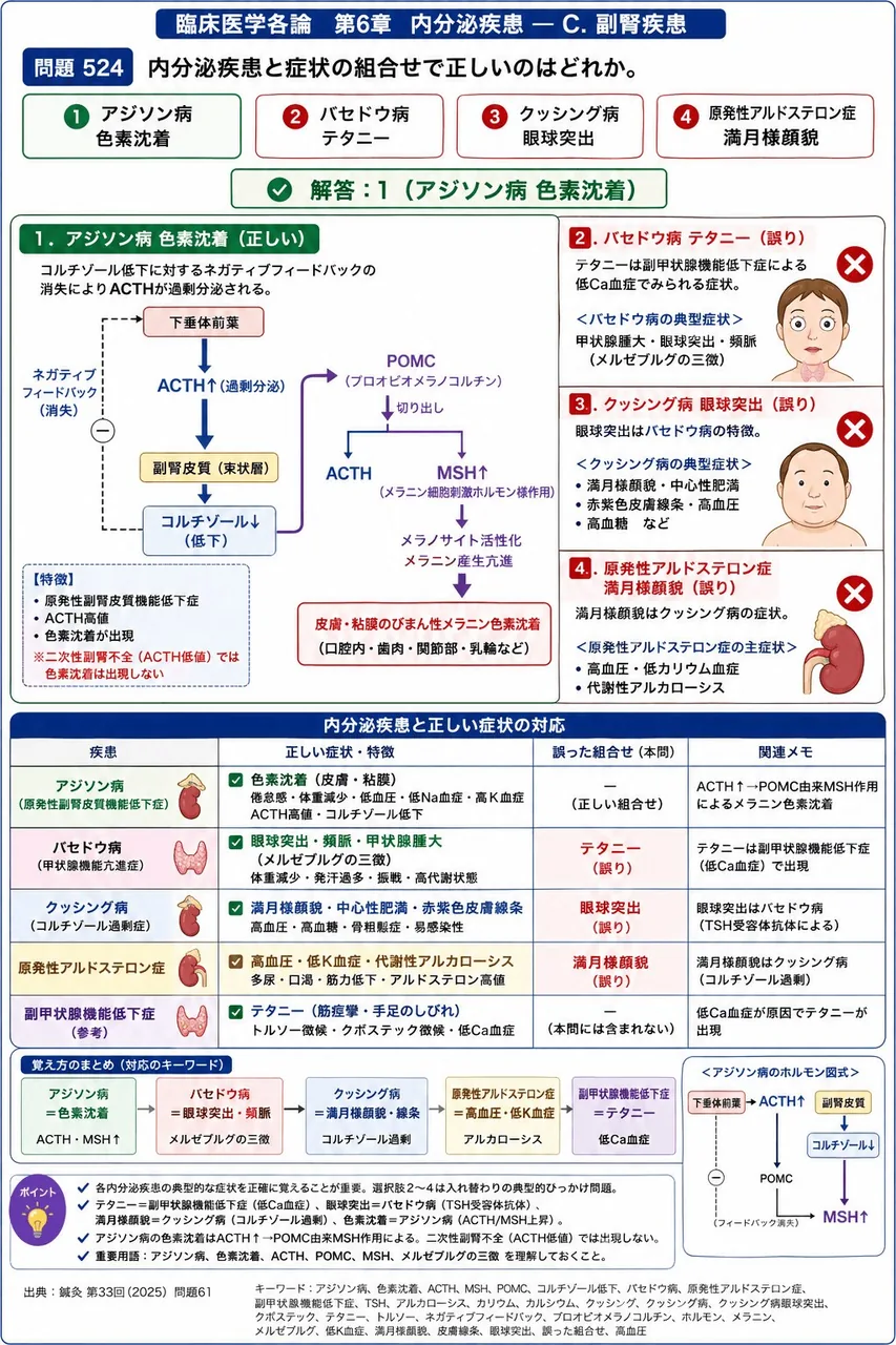 鍼灸 第33回(2025) 問題61｜内分泌疾患と症状の組合せで正しいのはどれか。 解説図