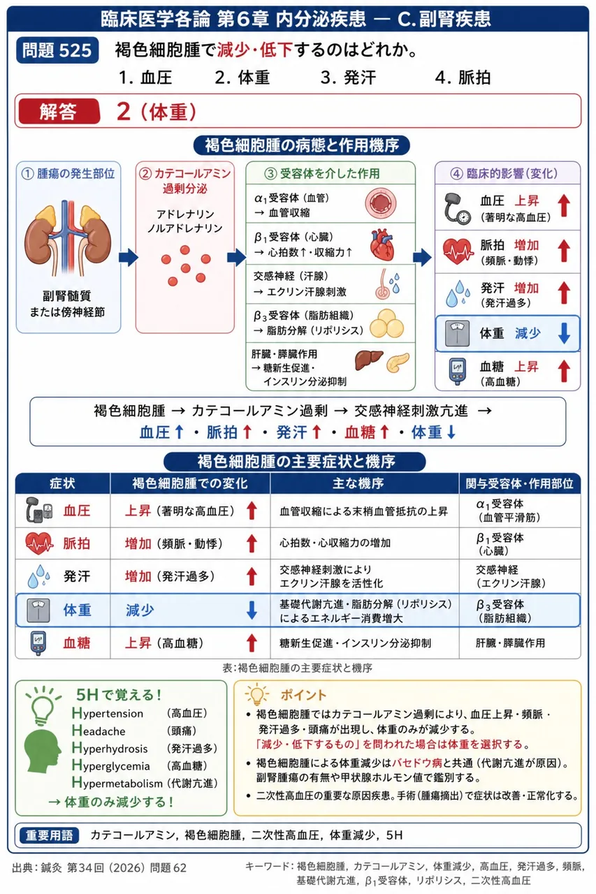 鍼灸 第34回(2026) 問題62｜褐色細胞腫で減少・低下するのはどれか。 解説図
