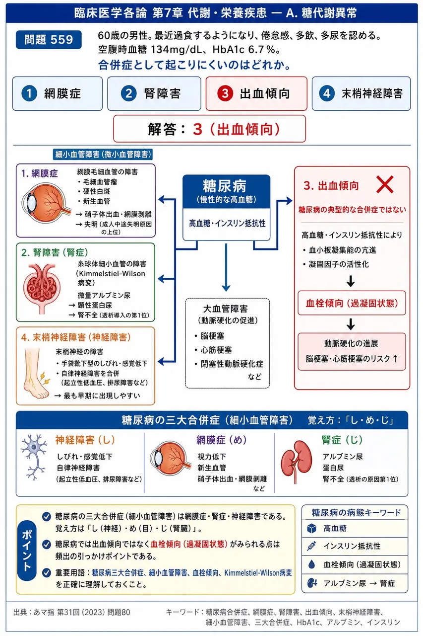 あマ指 第31回(2023) 問題80｜「60歳の男性。最近過食するようになり、倦怠感、多飲、多尿を認める。空腹時血糖 134mg/dL、HbA1c 6.7％。」合併症として起こりにくいのはどれか。 解説図