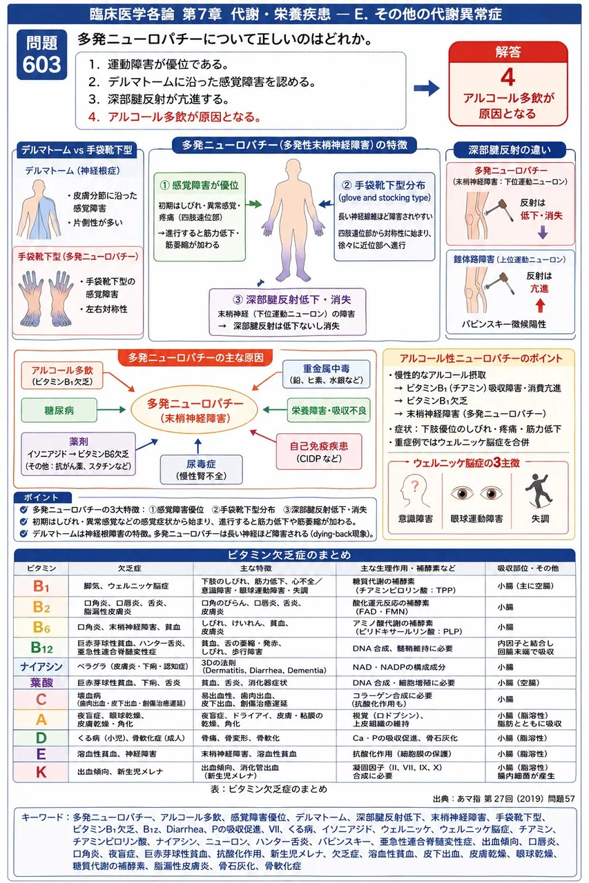 あマ指 第27回(2019) 問題57｜多発ニューロパチーについて正しいのはどれか。 解説図